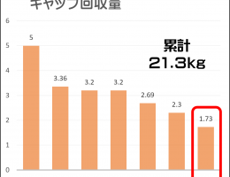 《《SDGs活動報告 Vol.31》》