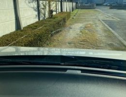 人生初の飛石