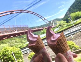 アマチュアソフトクリーマー静岡へ行く