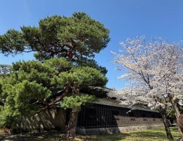 皇居にて