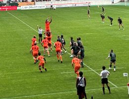 ラグビー観戦