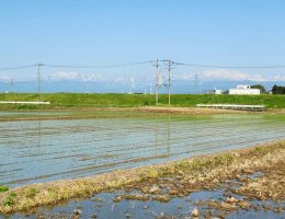 富山の情報⑤
