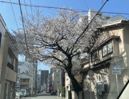 4月に住んでみたい建物