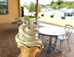 アマチュアソフトクリーマー長島へ行く