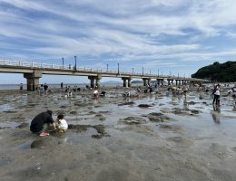 初潮干狩り