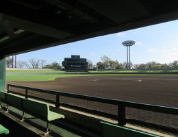 中学硬式野球