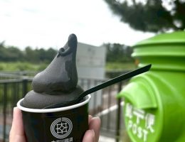 非公認ソフトクリーム研究家、大井川へ行く