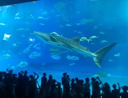 水族館