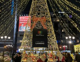 イルミネーション