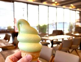 非公認ソフトクリーム研究家、田原市へ行く