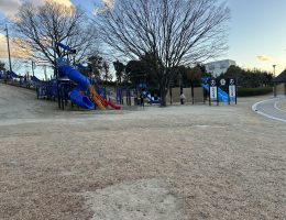 休日のひととき