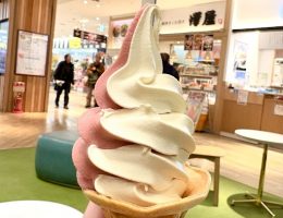 ソフトクリーム研究家、近場へ行く