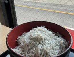 釜揚げしらす丼