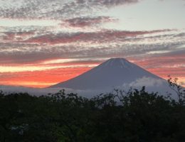 やっぱり美しい