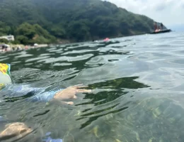 恒例の