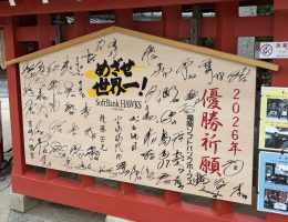 福岡ソフトバンクホークス　【全新】